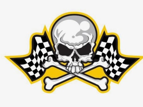 Checkered skull rat - rat, hot