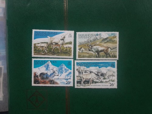 Falkland island dependencies - falkland,