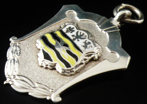 Sterling silver enamel pocket - silver,
