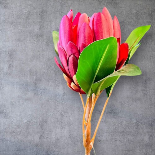 Artificial protea stem - protea,
