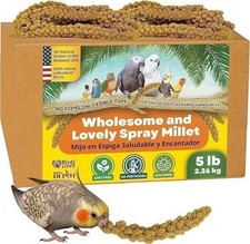 Birds LOVE Wholesome & Lovely