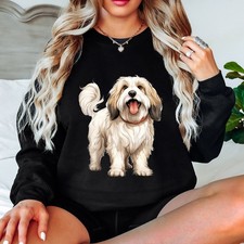 Havanese Dog Dogs Animals