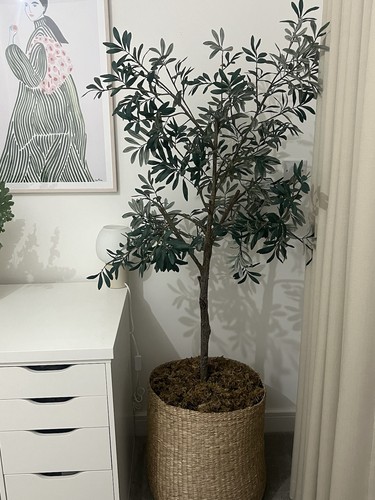 West elm faux - elm,