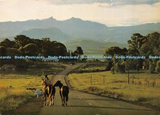 D037893 In the Underberg