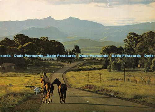 D037893 the underberg - d037893,