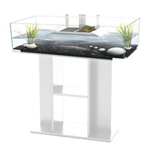 **BRAND NEW** Turtle/Terrapin