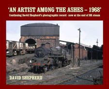Artist among the - artist, ashes