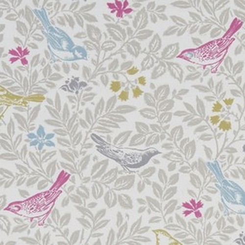 Studio bird song - -, summer