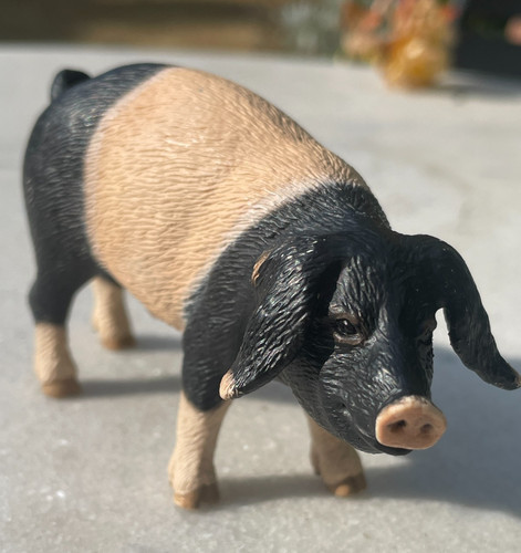 Schleich swabian hall - schleich, boar