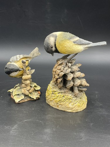 Arden great tit - tit, two