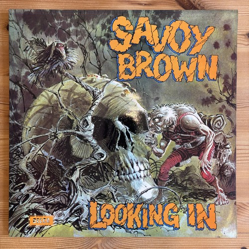 Savoy brown looking - savoy, brown,