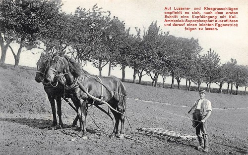 K3012 horse drawn - k3012,