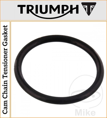 Triumph thruxton 1200 - thruxton,
