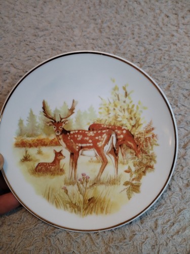 Collectible plate wildlife - collectible,