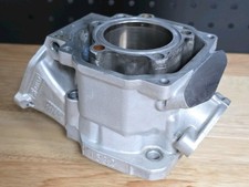 Junior Rotax Max EVO Cylinder - 125cc