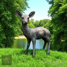 Bronze Effect Baby Doe in Life