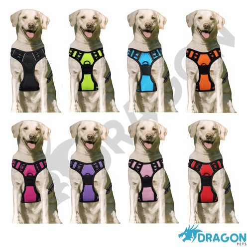 Premium dog harness pull - no,