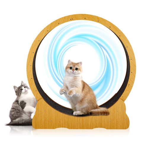 Cats exerciser wheel - cats,
