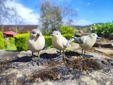 Finches Bird Ornament Garden