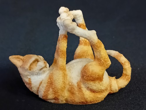 Breed apart playful ginger - a,