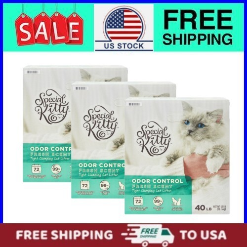 Special kitty fresh - special,