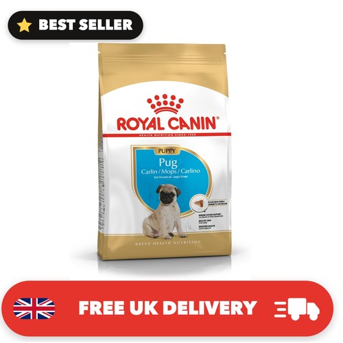 Pug puppy 5kg - pug,
