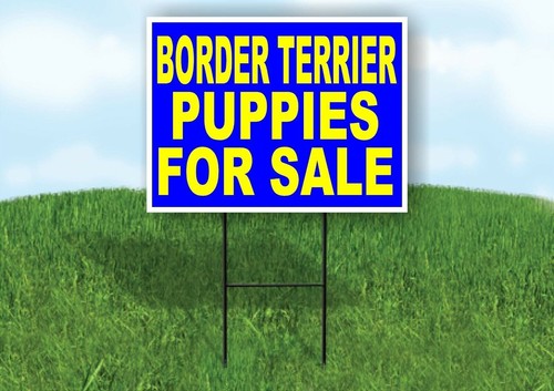 Border terrier puppies - border,