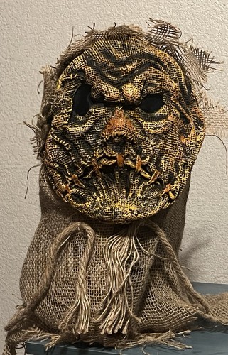 Scarecrow halloween costume - scarecrow,