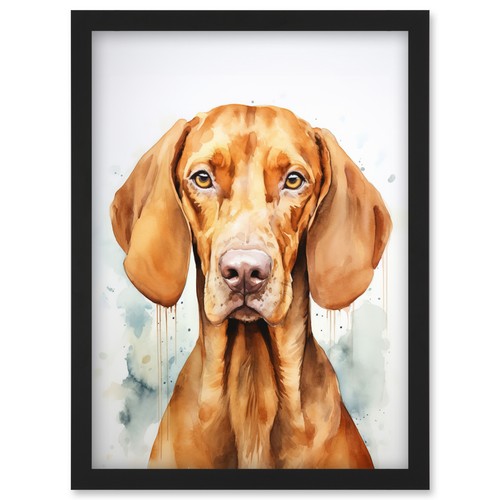 Hungarian vizsla dog soft - hungarian,