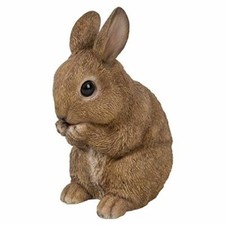 Vivid arts rabbit pet - arts, pals