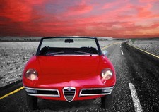 AUTOMOTIVE ART - ALFA ROMEO DUETTO SPIDER  -  LIMITED EDITION (25) 