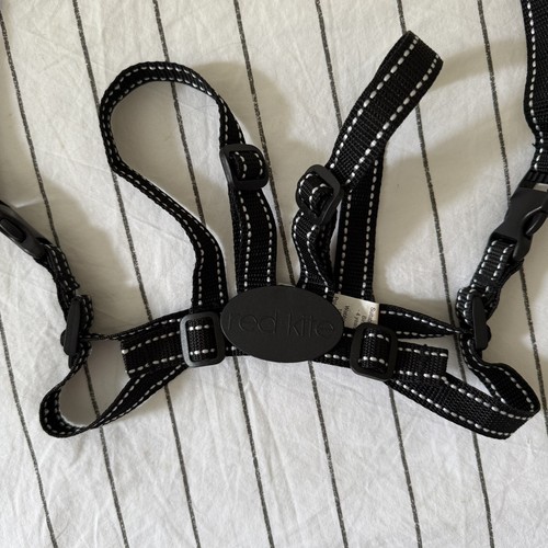 Red kite safety - safety, harness