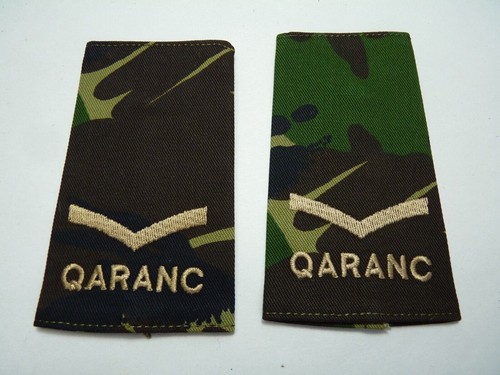 Qaranc jungle dpm rank slides - dpm,