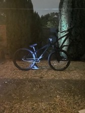 Dt Swiss 533d Wheelset With Spank Hubs