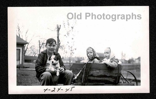 1948 wheelbarrow cute dog - wheelbarrow,