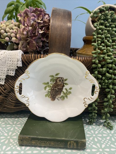 Coalport bone china british - china,