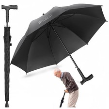 2-in-1 Walking Sticks