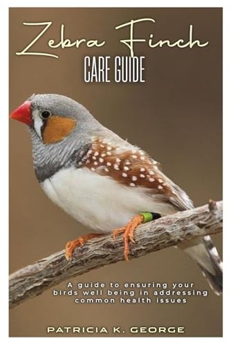 Zebra finch care - finch, guide: