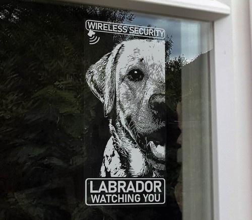 Labrador wireless security - labrador,