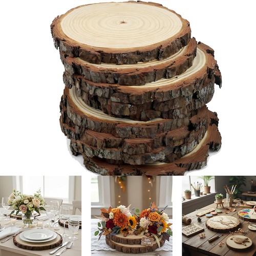 Large natural wood log - natural, slice