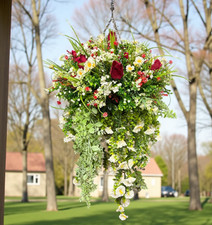 Red Roses Mixed Plants