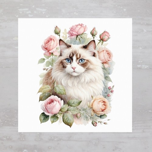 Floral roses cat ragdoll - roses,