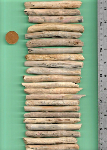 North sea driftwood - 22, uk