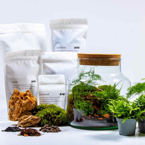 Diy terrarium kit - terrarium,