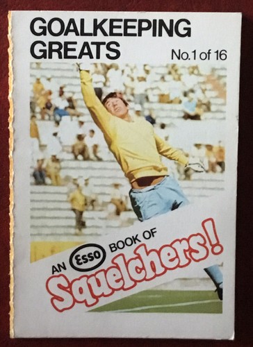 Goalkeeping greats 1 out - goalkeeping,