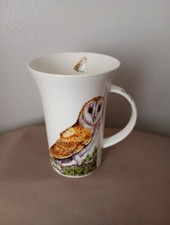 The leonardo collection, Barn Owl Un-used X-display -FREEPOST