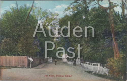 Vintage postcard sea road - vintage,