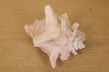 Vintage large queen - vintage, sea