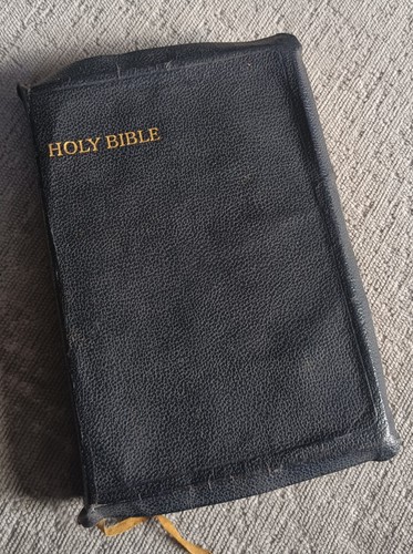 The holy bible illustrated - holy,