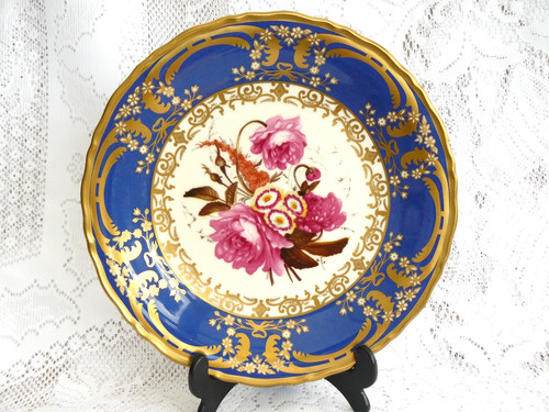 Coalport rose auricula - ,